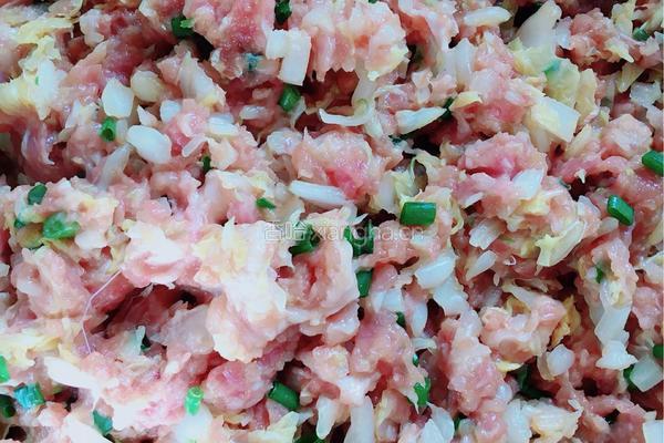 白菜肉蒸饺的做法图解5