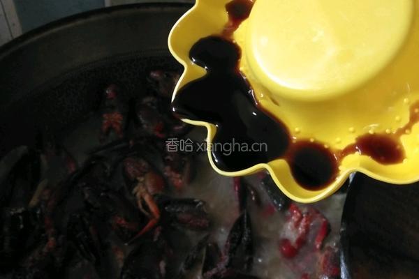 麻辣小龙虾的做法图解9