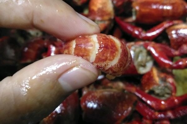 麻辣小龙虾的做法图解13