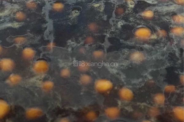 脏脏奶的做法图解3