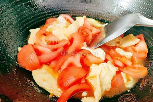 番茄鸡蛋肉圆汤的做法图解13