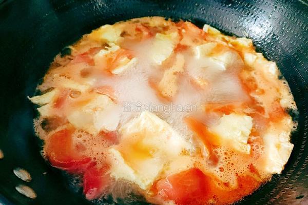 番茄鸡蛋肉圆汤的做法图解15