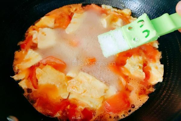 番茄鸡蛋肉圆汤的做法图解16