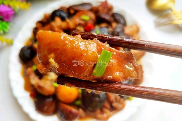 红烧香菇鸡块的做法图解2