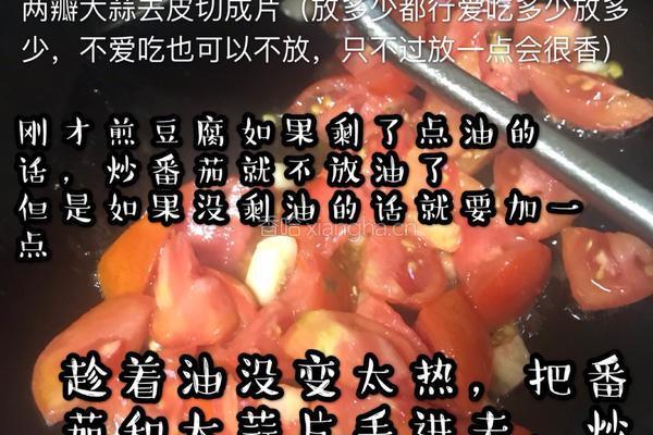 茄汁豆腐（一人食）的做法图解3