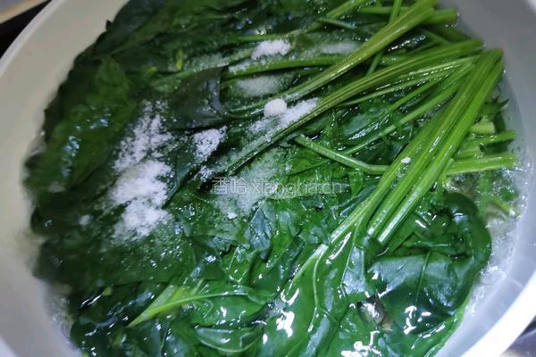 韩式菠菜小菜的做法图解3