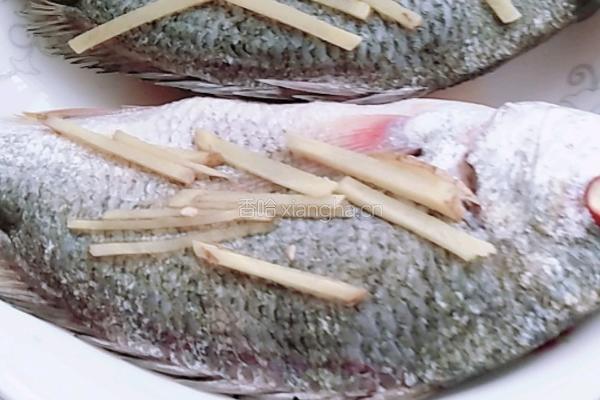 清蒸海鲫鱼的做法图解3