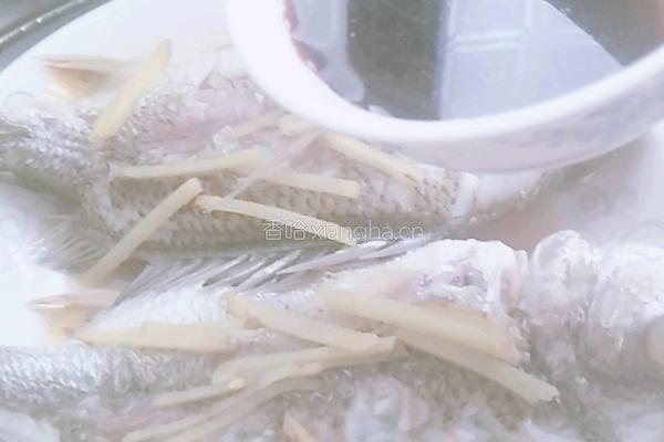 清蒸海鲫鱼的做法图解4