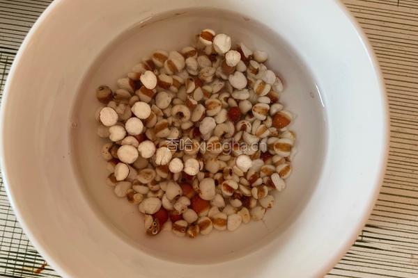 家常番茄炖牛肉的做法图解2