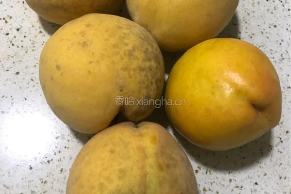 自制黄桃罐头的做法图解1