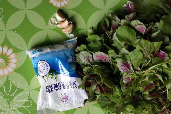 清炒红苋菜的做法图解1
