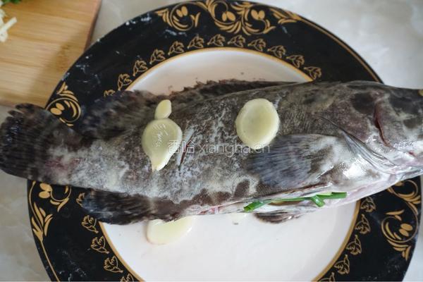 清蒸石斑鱼的做法图解6