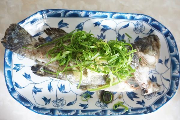 清蒸石斑鱼的做法图解8