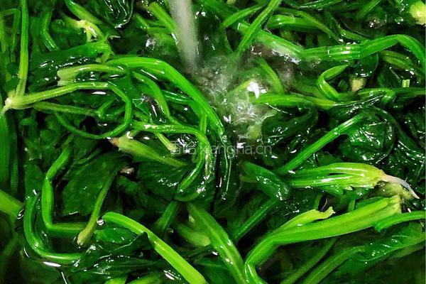 果仁菠菜的做法图解5