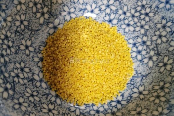 桃胶小米南瓜汤的做法图解7