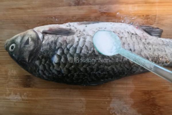 鲫鱼冬瓜汤的做法图解4