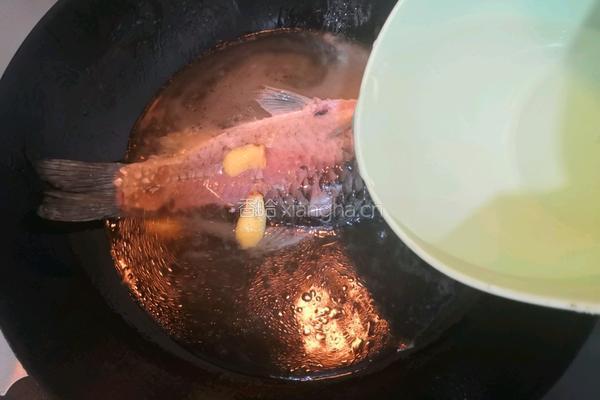 鲫鱼冬瓜汤的做法图解9
