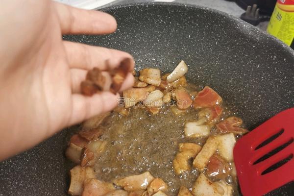 冬瓜炖粉条的做法图解17
