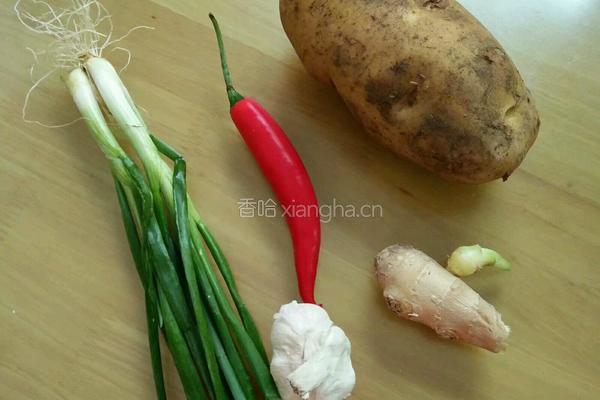 酸辣土豆丝的做法图解1