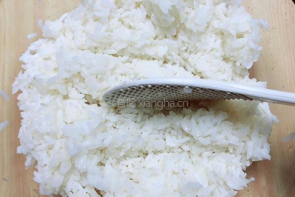西兰花玉米芝士饭团的做法图解8