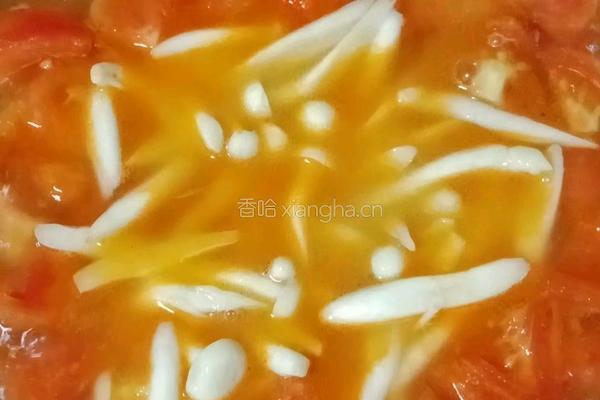 番茄白玉菇炖豆腐的做法图解9