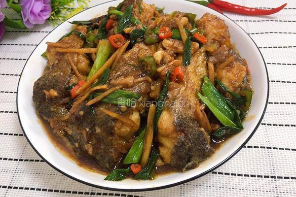 红烧鱼块的做法图解11