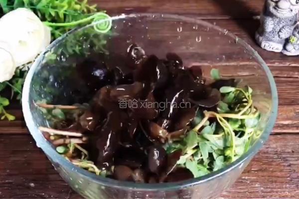 木耳拌马齿苋的做法图解2