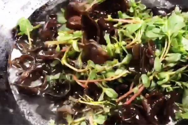木耳拌马齿苋的做法图解7