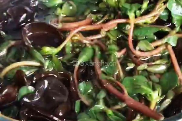 木耳拌马齿苋的做法图解8