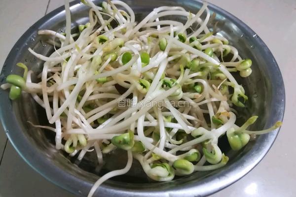 黄豆芽炒粉丝的做法图解3