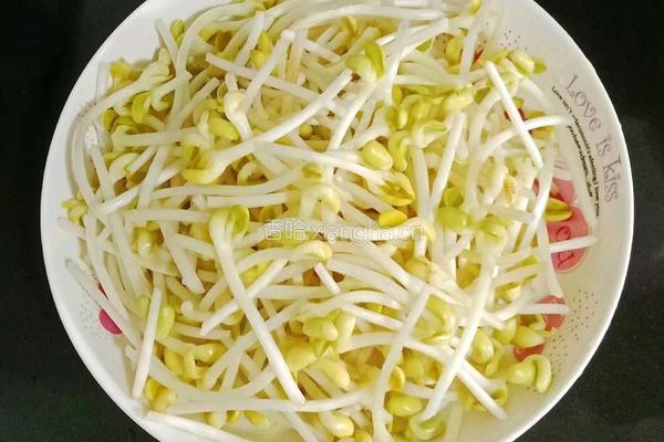 凉拌豆芽的做法图解8