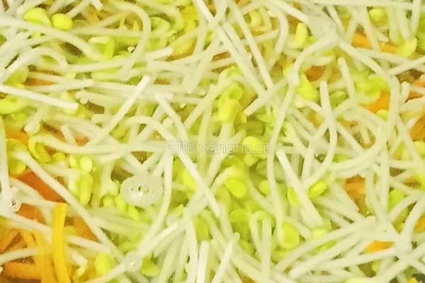 凉拌豆芽的做法图解12