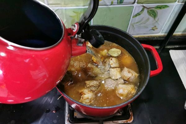 姥姥家的老味道 豆瓣酱焖牛肉的做法图解11
