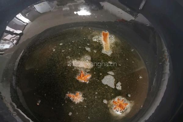 猪肉白菜炖粉条的做法图解5