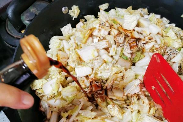 猪肉白菜炖粉条的做法图解11