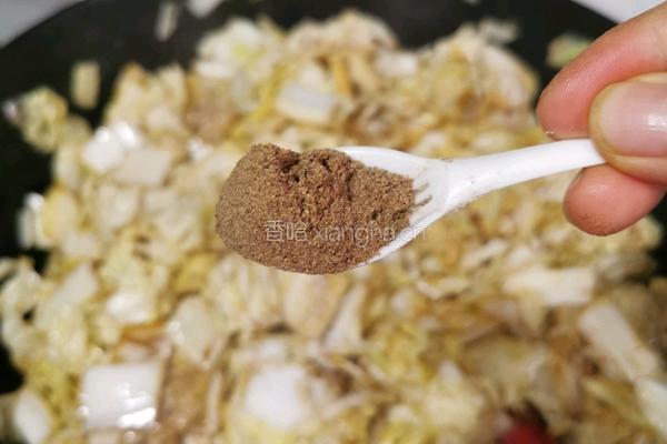 猪肉白菜炖粉条的做法图解13