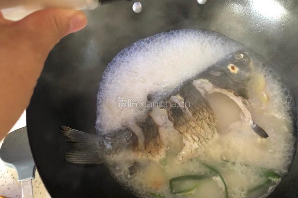 奶白鲫鱼汤的做法图解9