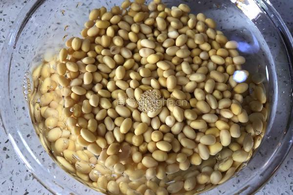 黄豆莲藕排骨汤的做法图解1
