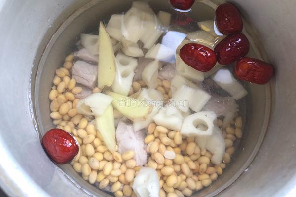 黄豆莲藕排骨汤的做法图解8