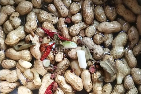 五香水煮花生的做法图解3