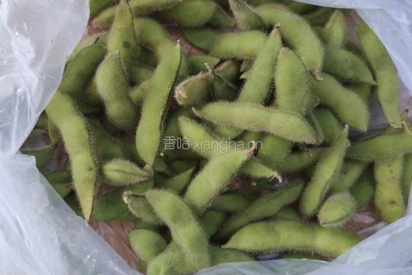 盐水毛豆的做法图解1