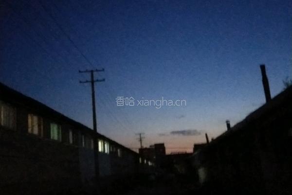 韭菜盒子的做法图解7