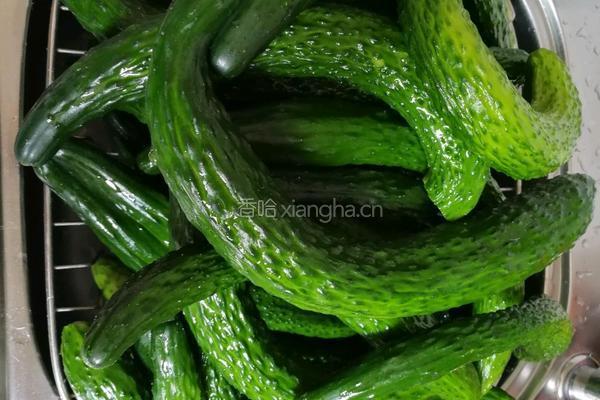 黄瓜泡菜的做法图解1