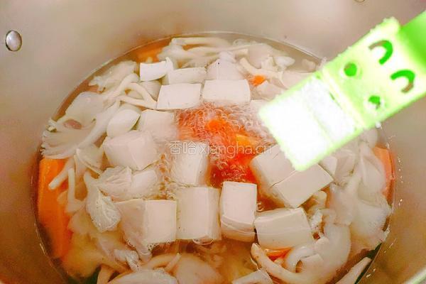 平菇豆腐汤的做法图解10