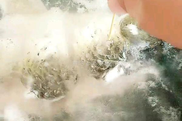 过水鱼的做法图解12