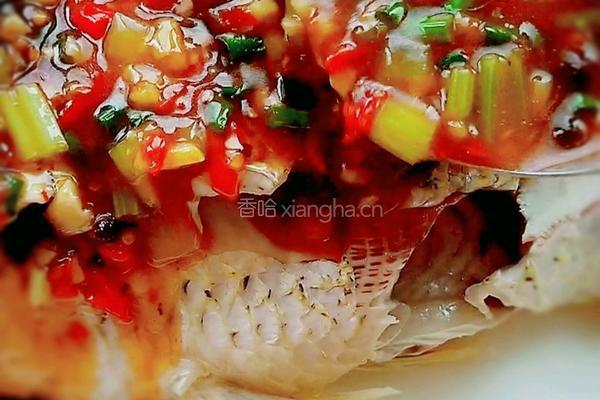 过水鱼的做法图解19