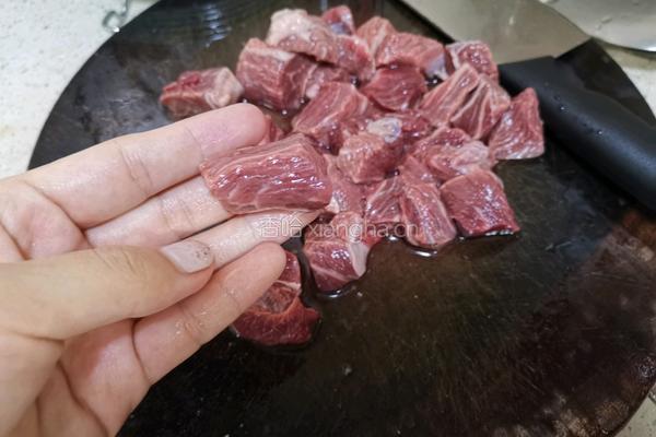 西红柿土豆焖牛腩的做法图解2