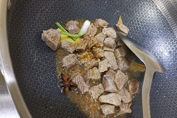 西红柿土豆焖牛腩的做法图解7