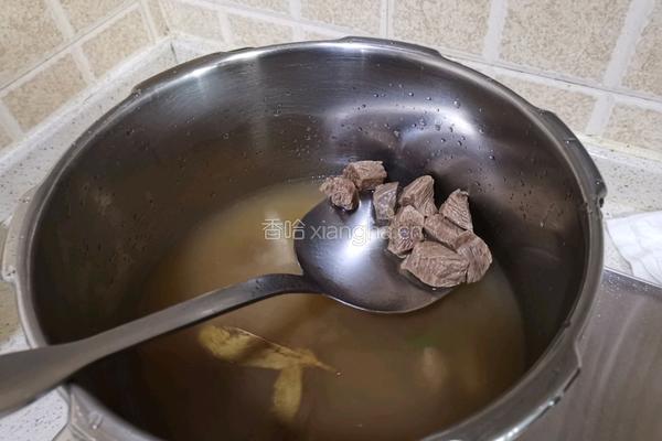 西红柿土豆焖牛腩的做法图解8