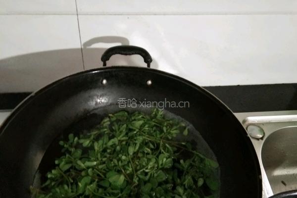 马齿苋炒鸡蛋的做法图解3